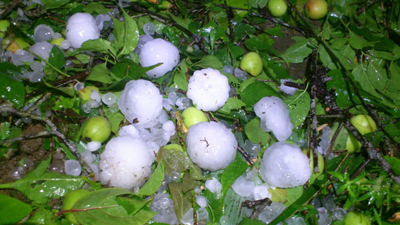 Ứng phó với thời tiết dị thường